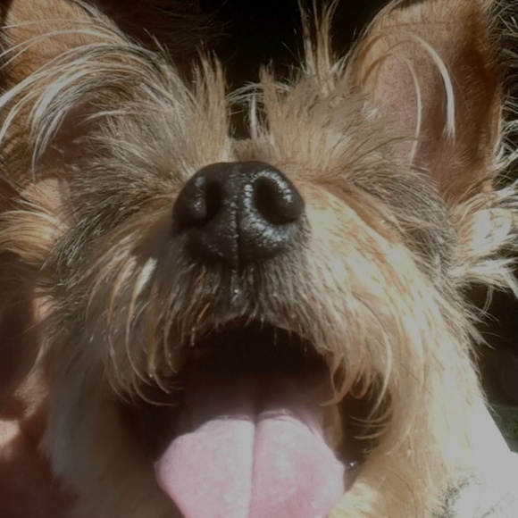 Meet your Posher, Vicki aka Sweet Jazzy Girl - Picture 1 of 2